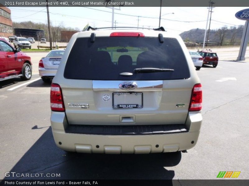 Gold Leaf Metallic / Charcoal Black 2011 Ford Escape Limited V6 4WD