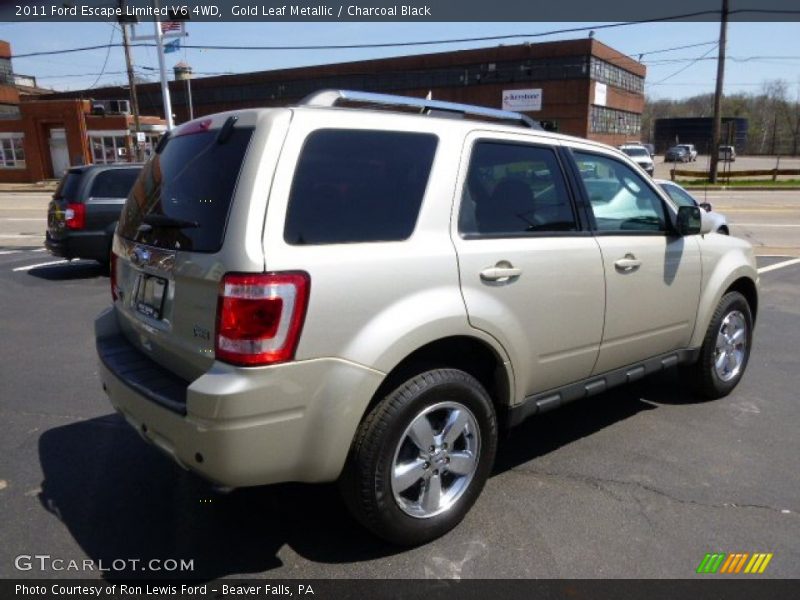 Gold Leaf Metallic / Charcoal Black 2011 Ford Escape Limited V6 4WD