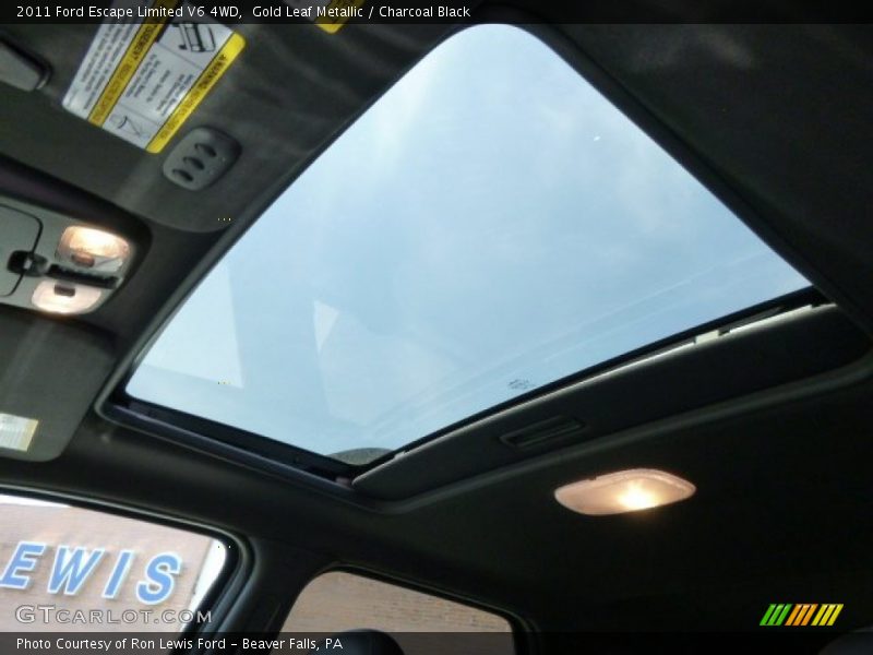 Gold Leaf Metallic / Charcoal Black 2011 Ford Escape Limited V6 4WD