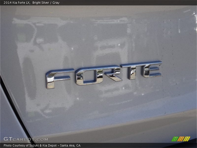 Bright Silver / Gray 2014 Kia Forte LX