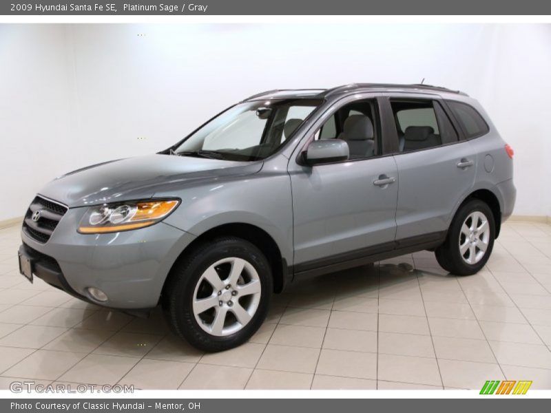 Platinum Sage / Gray 2009 Hyundai Santa Fe SE