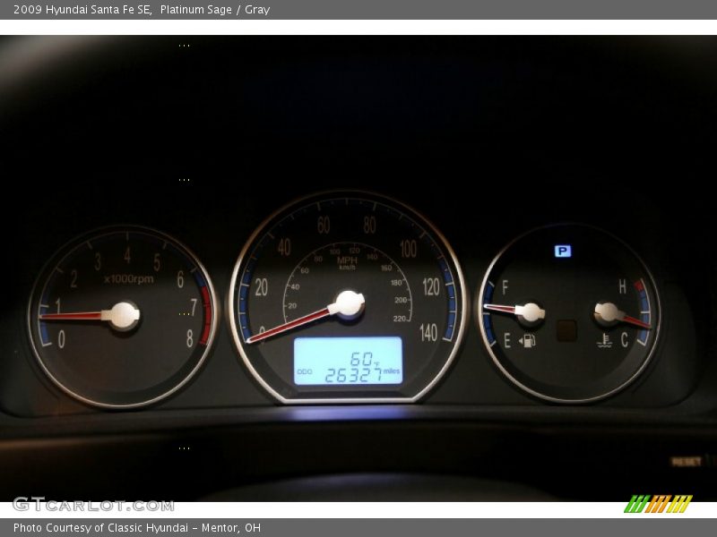 Platinum Sage / Gray 2009 Hyundai Santa Fe SE