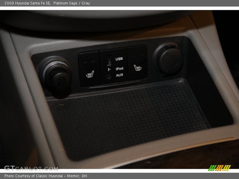 Platinum Sage / Gray 2009 Hyundai Santa Fe SE