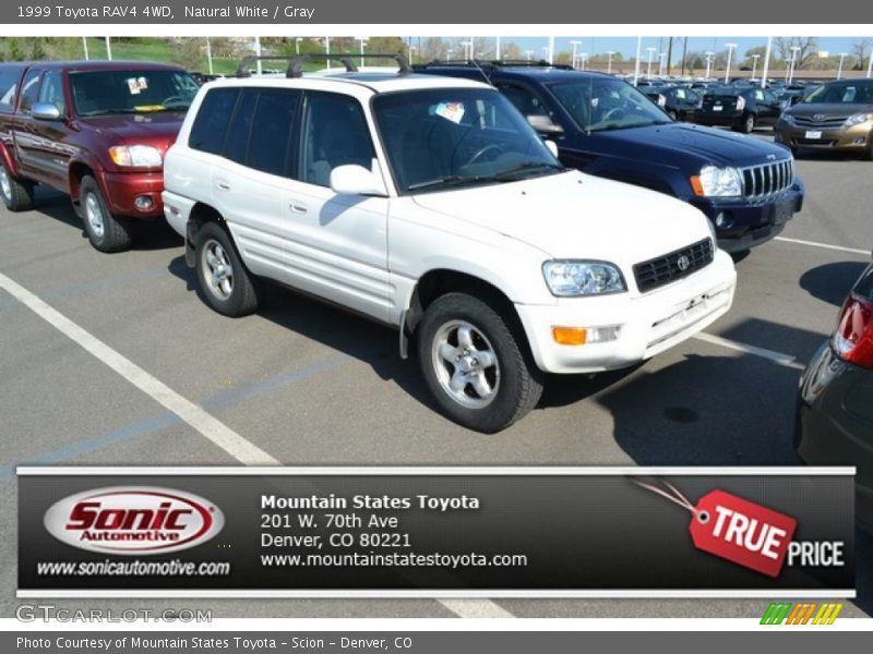 Natural White / Gray 1999 Toyota RAV4 4WD