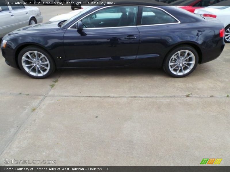 Moonlight Blue Metallic / Black 2014 Audi A5 2.0T quattro Coupe