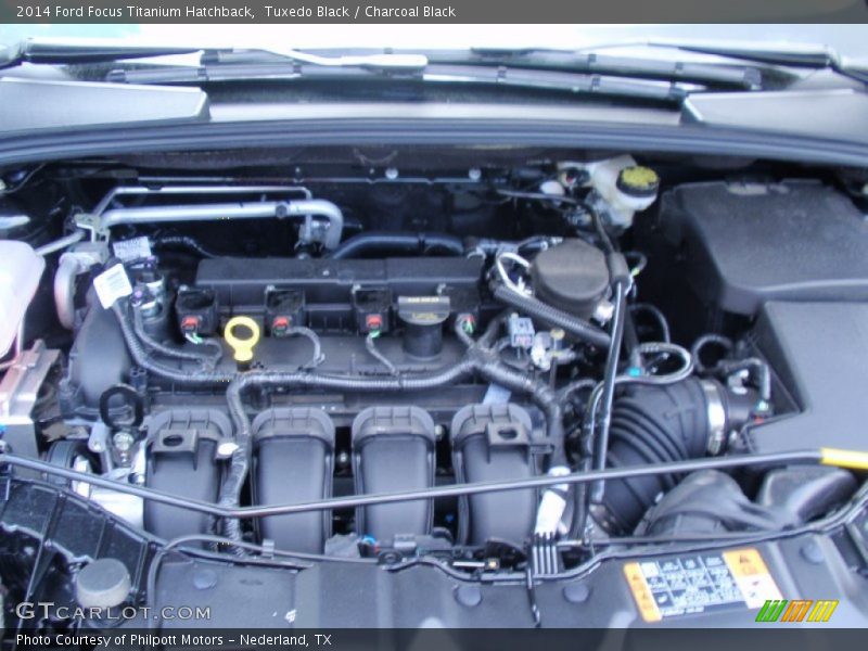 Tuxedo Black / Charcoal Black 2014 Ford Focus Titanium Hatchback