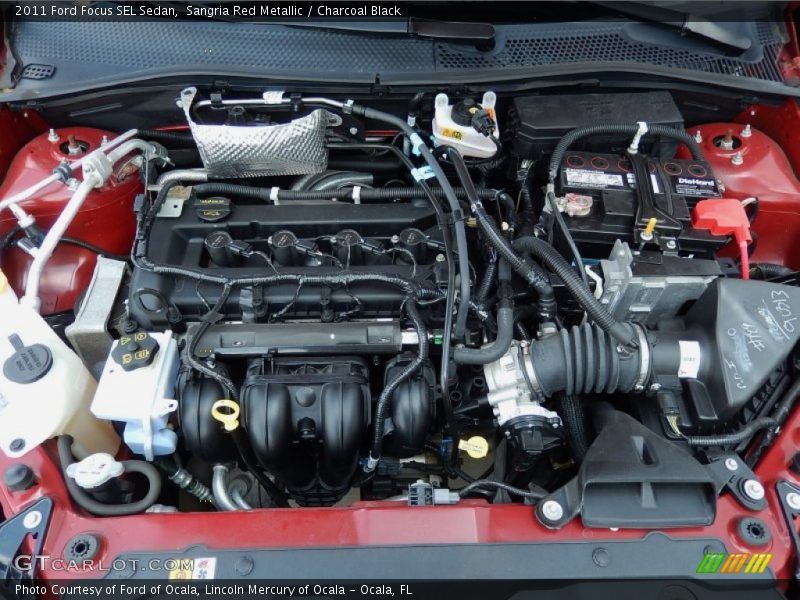 Sangria Red Metallic / Charcoal Black 2011 Ford Focus SEL Sedan