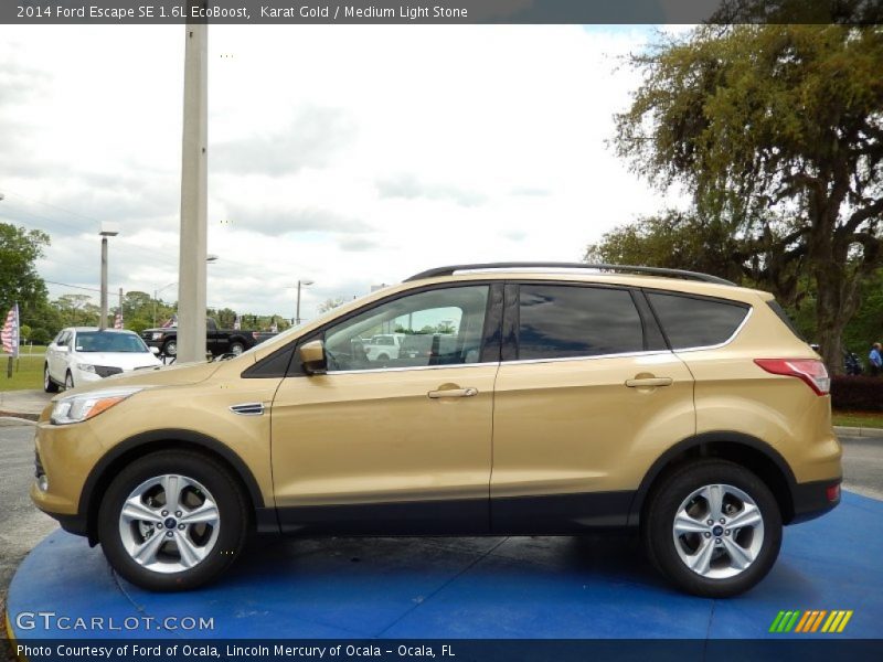  2014 Escape SE 1.6L EcoBoost Karat Gold