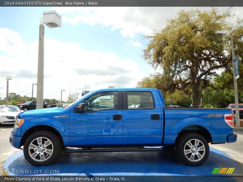 Blue Flame / Black 2014 Ford F150 STX SuperCrew