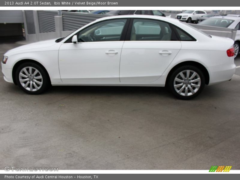 Ibis White / Velvet Beige/Moor Brown 2013 Audi A4 2.0T Sedan