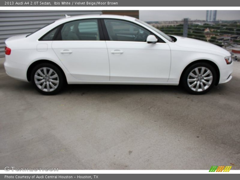 Ibis White / Velvet Beige/Moor Brown 2013 Audi A4 2.0T Sedan