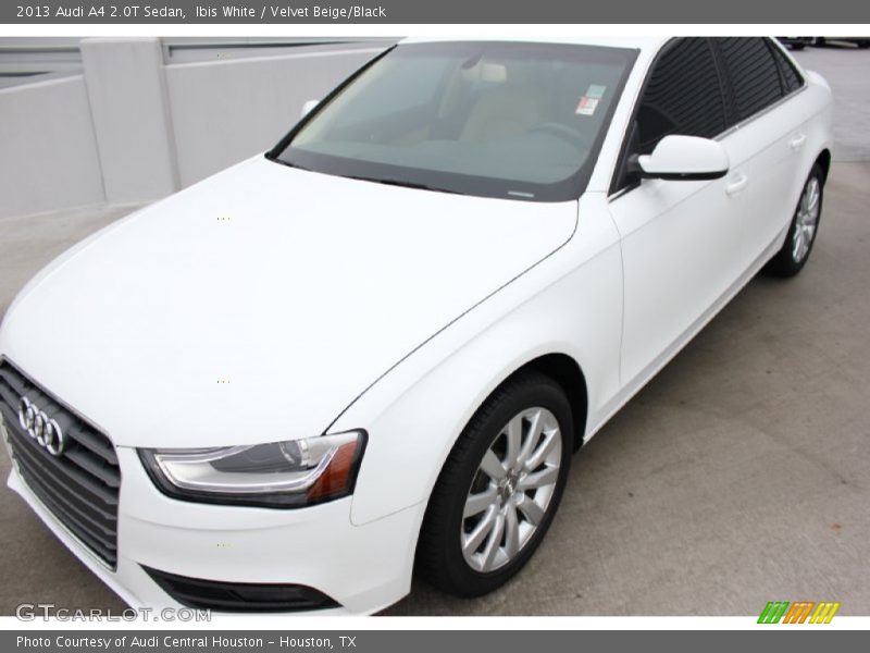 Ibis White / Velvet Beige/Black 2013 Audi A4 2.0T Sedan