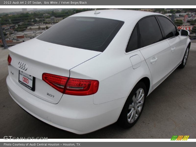 Ibis White / Velvet Beige/Black 2013 Audi A4 2.0T Sedan