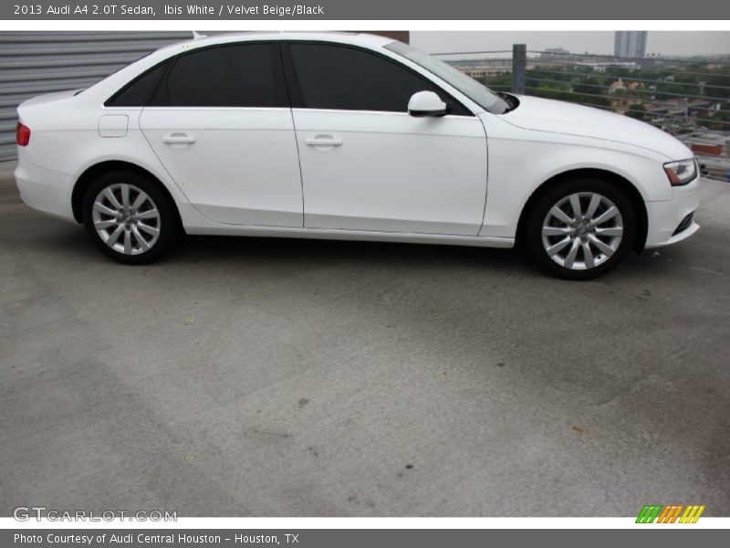 Ibis White / Velvet Beige/Black 2013 Audi A4 2.0T Sedan