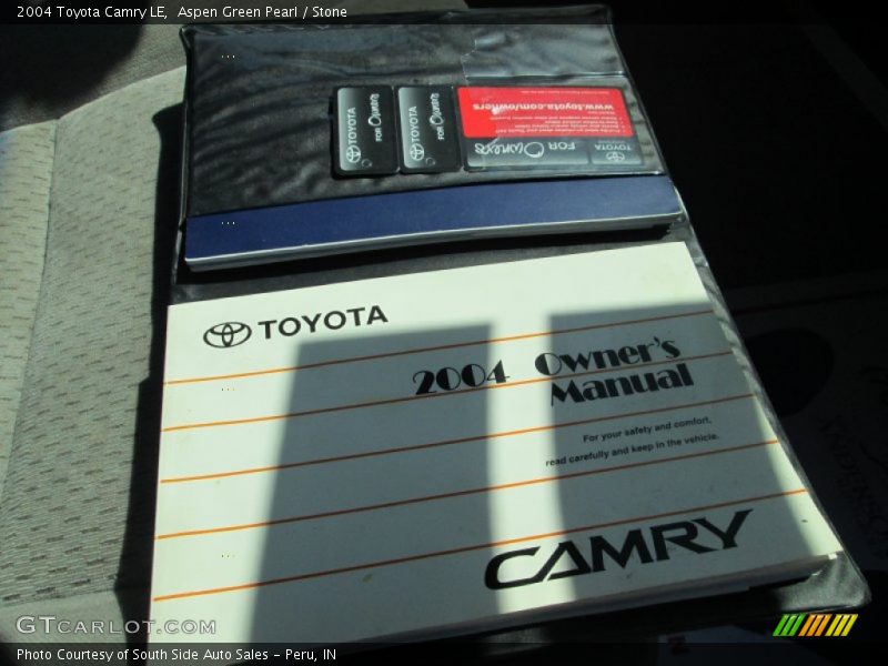 Aspen Green Pearl / Stone 2004 Toyota Camry LE