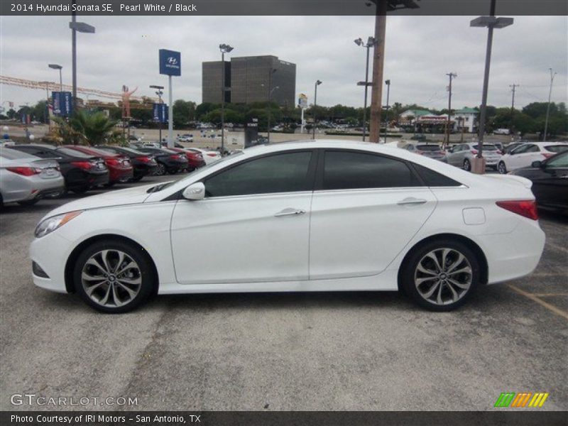 Pearl White / Black 2014 Hyundai Sonata SE