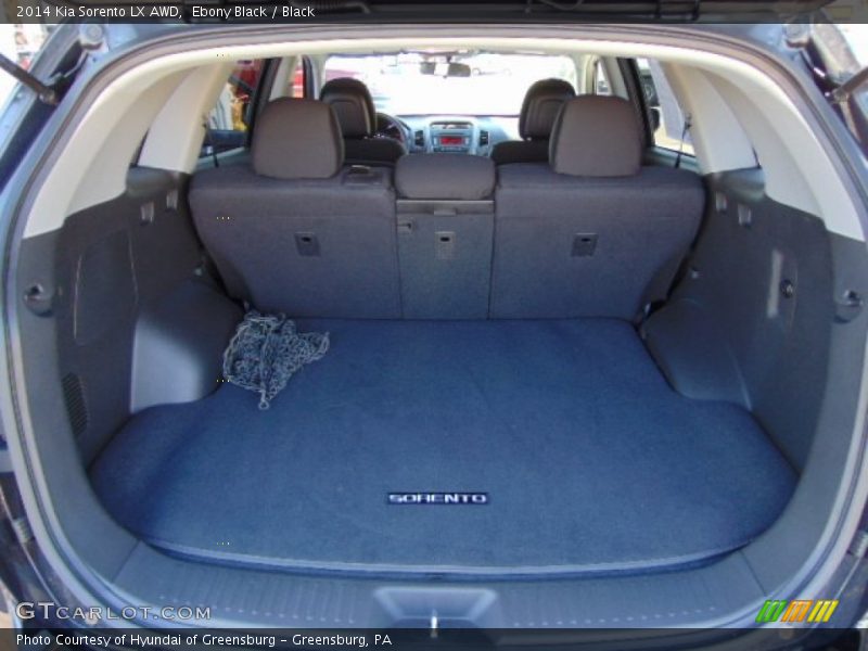 Ebony Black / Black 2014 Kia Sorento LX AWD