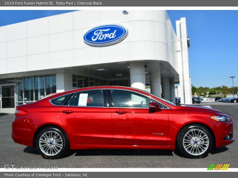Ruby Red / Charcoal Black 2014 Ford Fusion Hybrid SE
