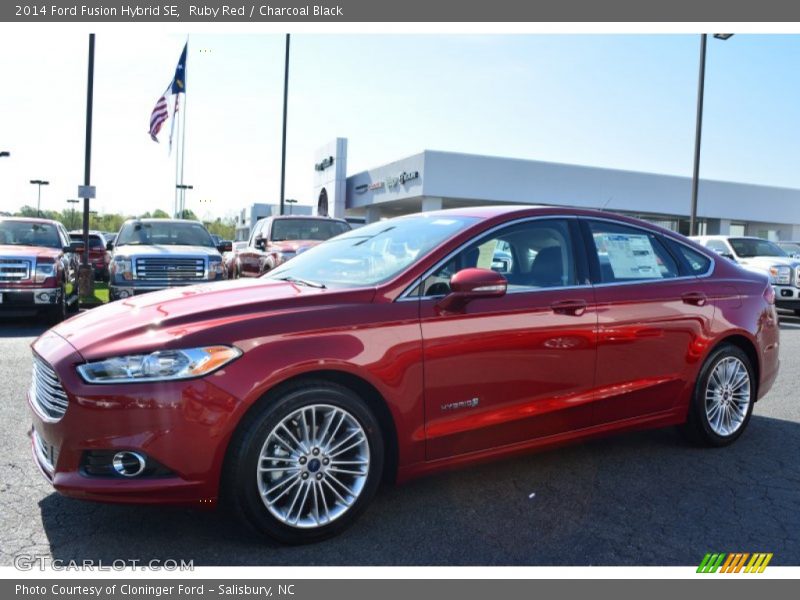 Ruby Red / Charcoal Black 2014 Ford Fusion Hybrid SE