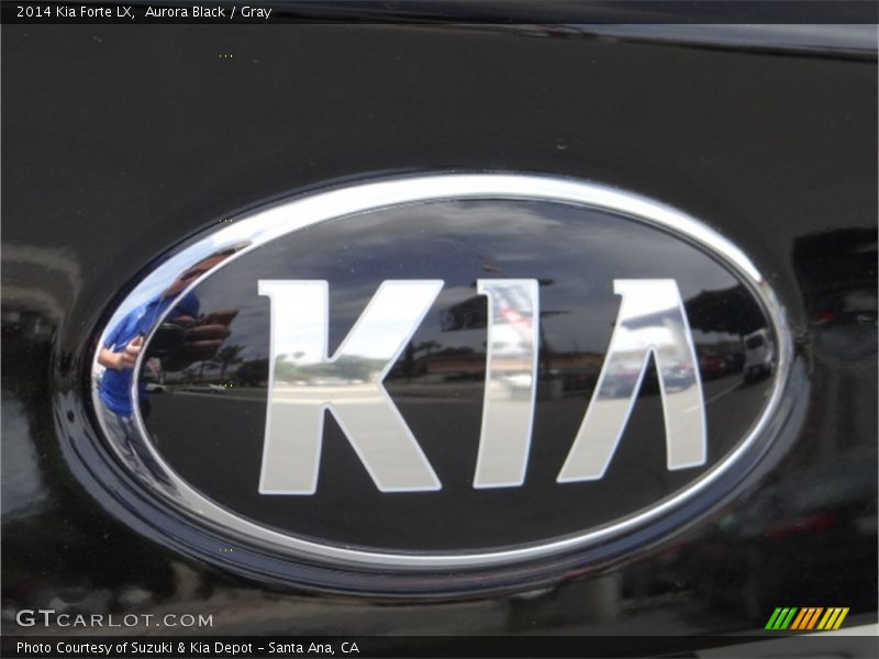 Aurora Black / Gray 2014 Kia Forte LX