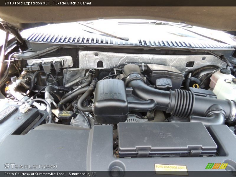 Tuxedo Black / Camel 2010 Ford Expedition XLT