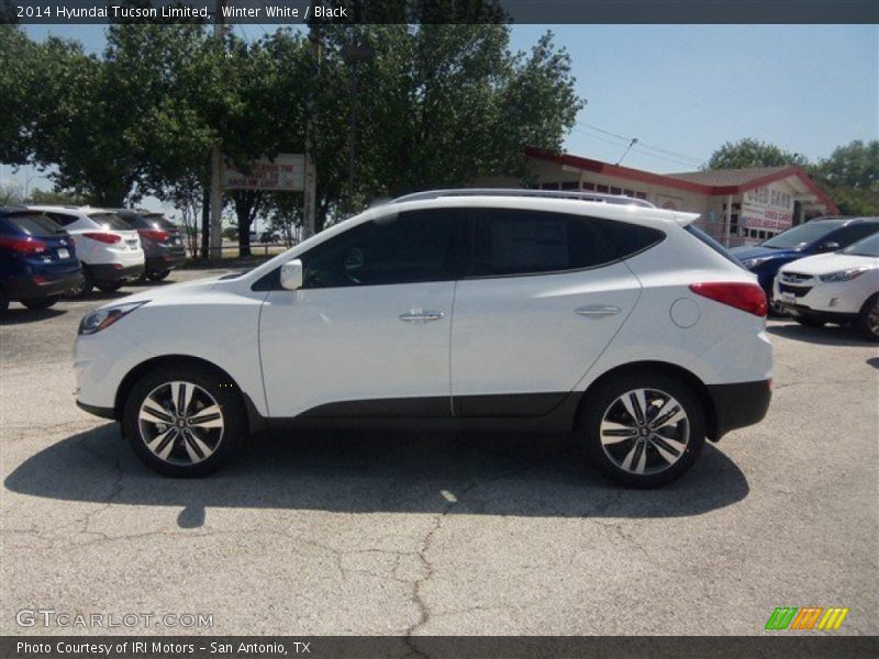 Winter White / Black 2014 Hyundai Tucson Limited