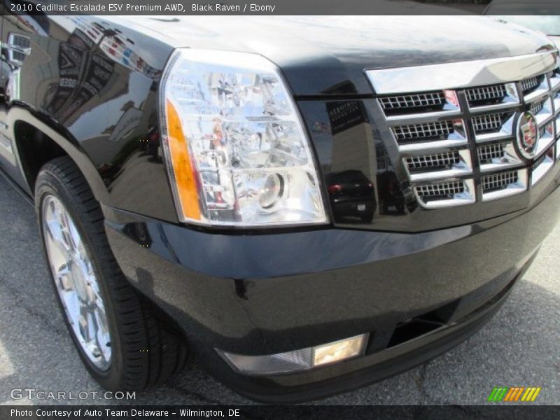 Black Raven / Ebony 2010 Cadillac Escalade ESV Premium AWD