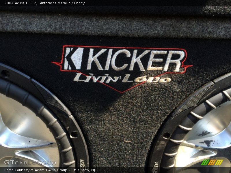 Anthracite Metallic / Ebony 2004 Acura TL 3.2