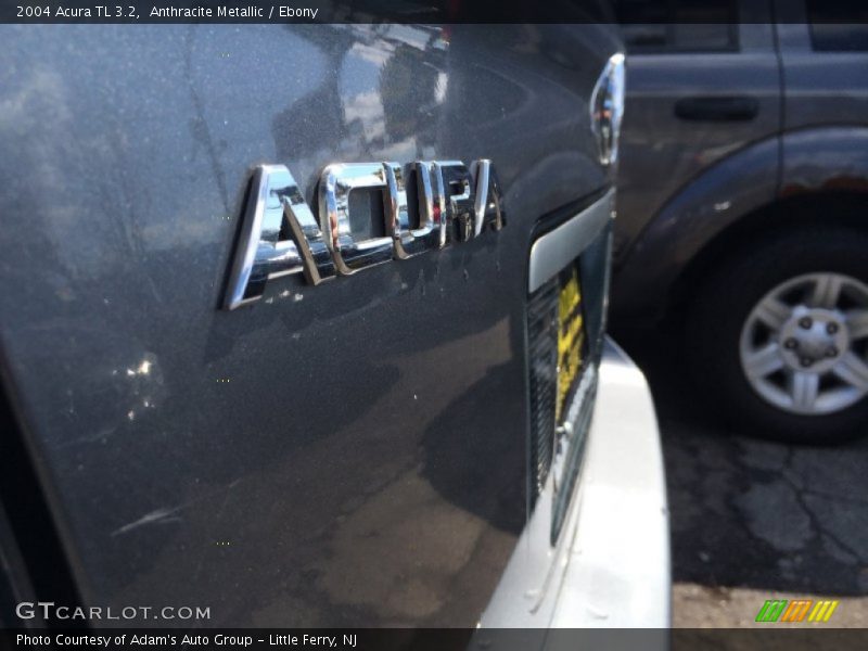 Anthracite Metallic / Ebony 2004 Acura TL 3.2
