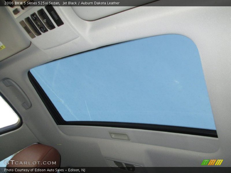Jet Black / Auburn Dakota Leather 2006 BMW 5 Series 525xi Sedan