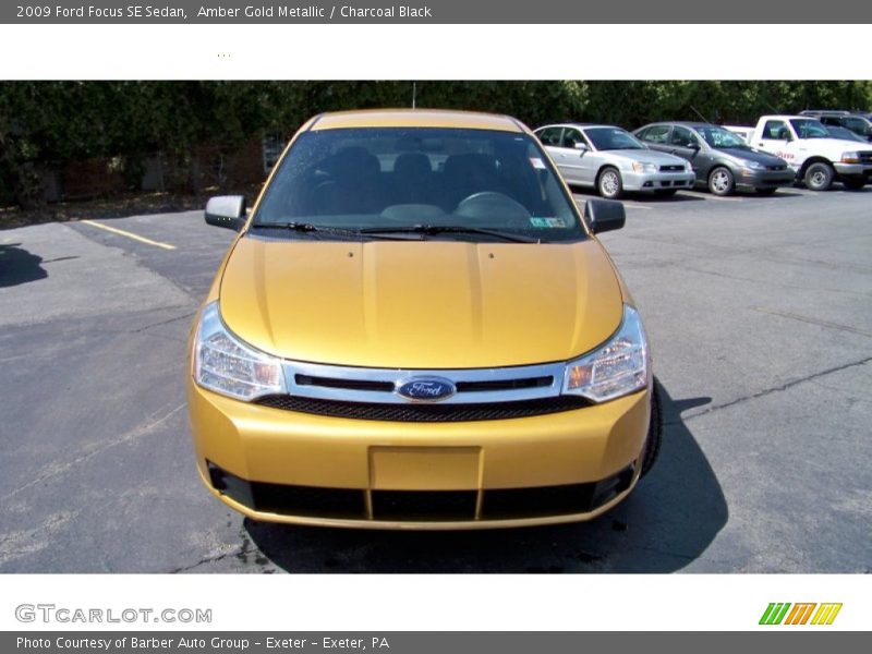 Amber Gold Metallic / Charcoal Black 2009 Ford Focus SE Sedan