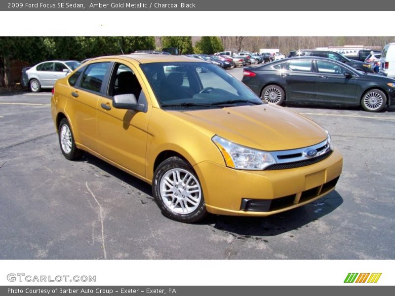 Amber Gold Metallic / Charcoal Black 2009 Ford Focus SE Sedan