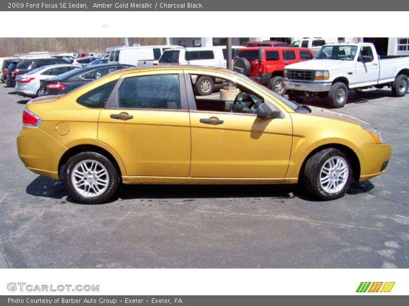 Amber Gold Metallic / Charcoal Black 2009 Ford Focus SE Sedan