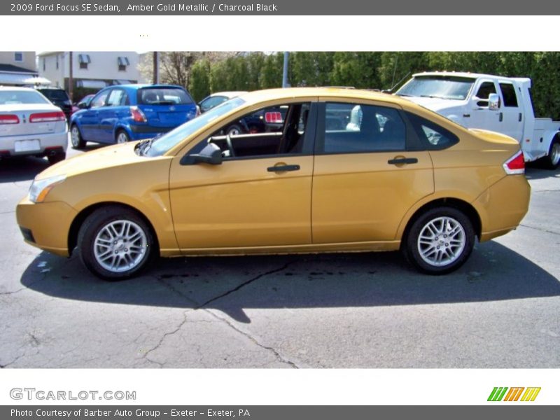 Amber Gold Metallic / Charcoal Black 2009 Ford Focus SE Sedan