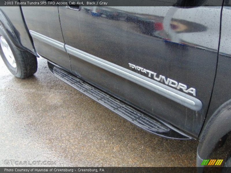 Black / Gray 2003 Toyota Tundra SR5 TRD Access Cab 4x4
