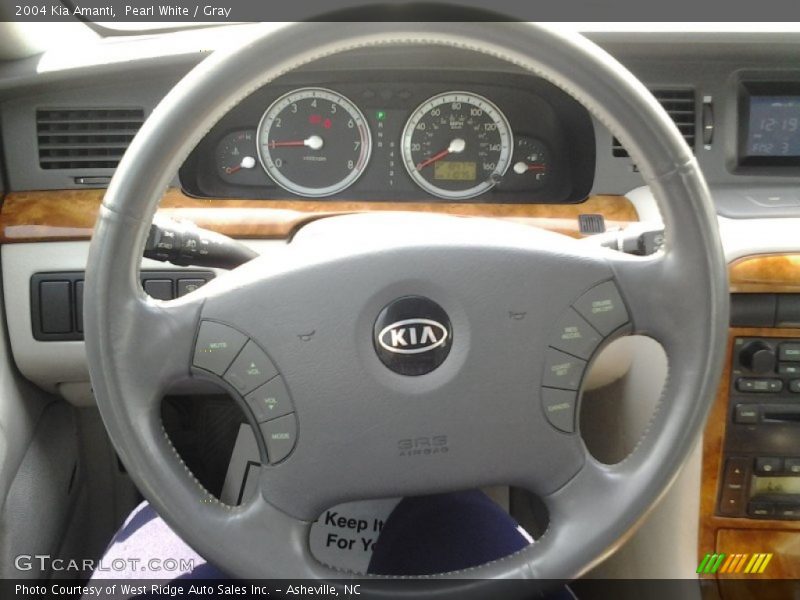 Pearl White / Gray 2004 Kia Amanti