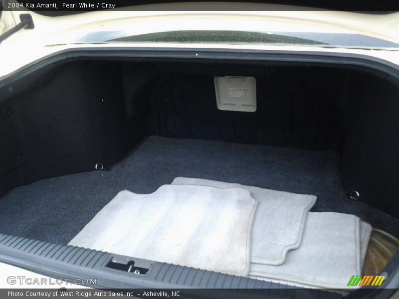 Pearl White / Gray 2004 Kia Amanti