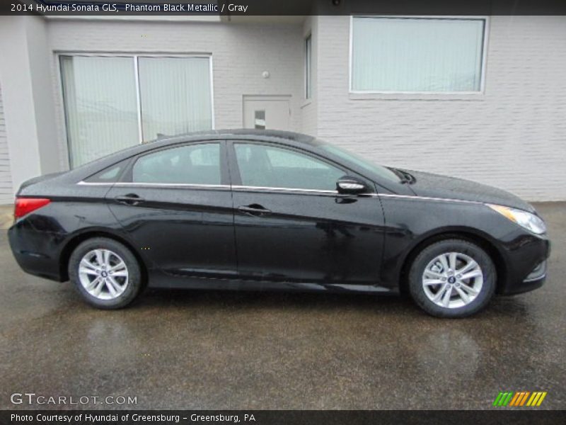 Phantom Black Metallic / Gray 2014 Hyundai Sonata GLS
