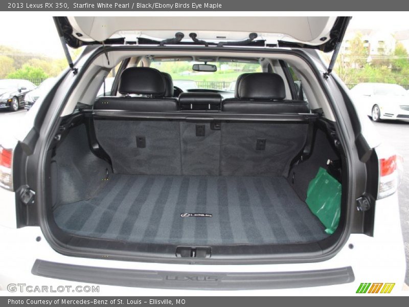  2013 RX 350 Trunk