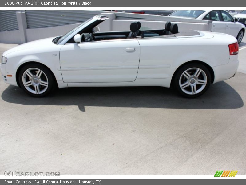 Ibis White / Black 2008 Audi A4 2.0T Cabriolet