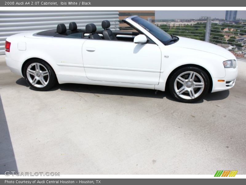 Ibis White / Black 2008 Audi A4 2.0T Cabriolet