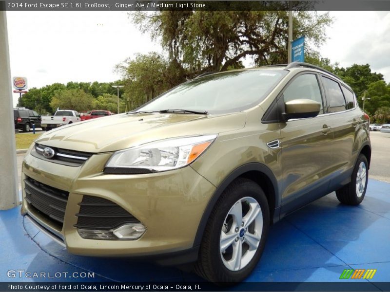 Ginger Ale / Medium Light Stone 2014 Ford Escape SE 1.6L EcoBoost