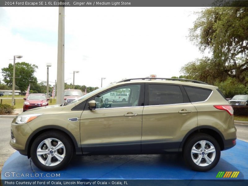 Ginger Ale / Medium Light Stone 2014 Ford Escape SE 1.6L EcoBoost