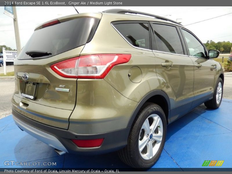 Ginger Ale / Medium Light Stone 2014 Ford Escape SE 1.6L EcoBoost