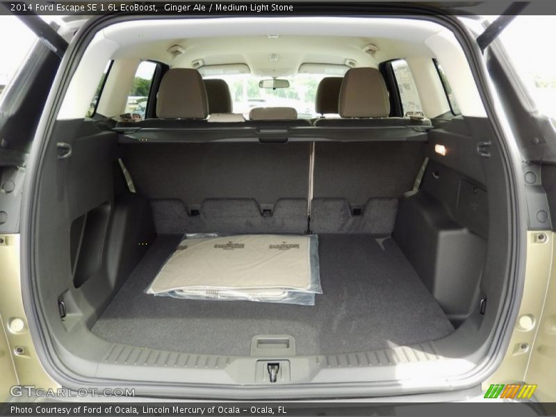 Ginger Ale / Medium Light Stone 2014 Ford Escape SE 1.6L EcoBoost