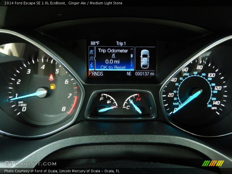Ginger Ale / Medium Light Stone 2014 Ford Escape SE 1.6L EcoBoost