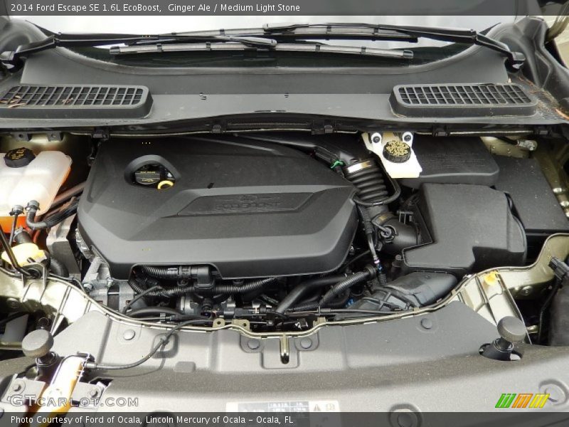 Ginger Ale / Medium Light Stone 2014 Ford Escape SE 1.6L EcoBoost