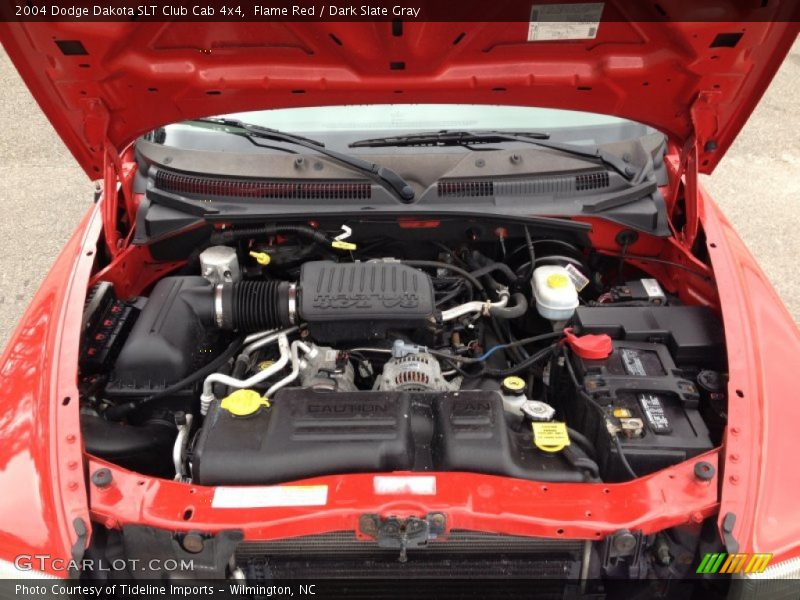 Flame Red / Dark Slate Gray 2004 Dodge Dakota SLT Club Cab 4x4
