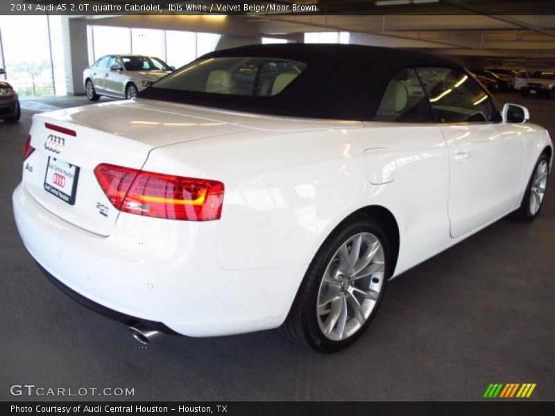 Ibis White / Velvet Beige/Moor Brown 2014 Audi A5 2.0T quattro Cabriolet