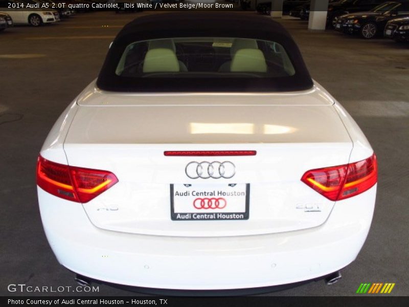 Ibis White / Velvet Beige/Moor Brown 2014 Audi A5 2.0T quattro Cabriolet